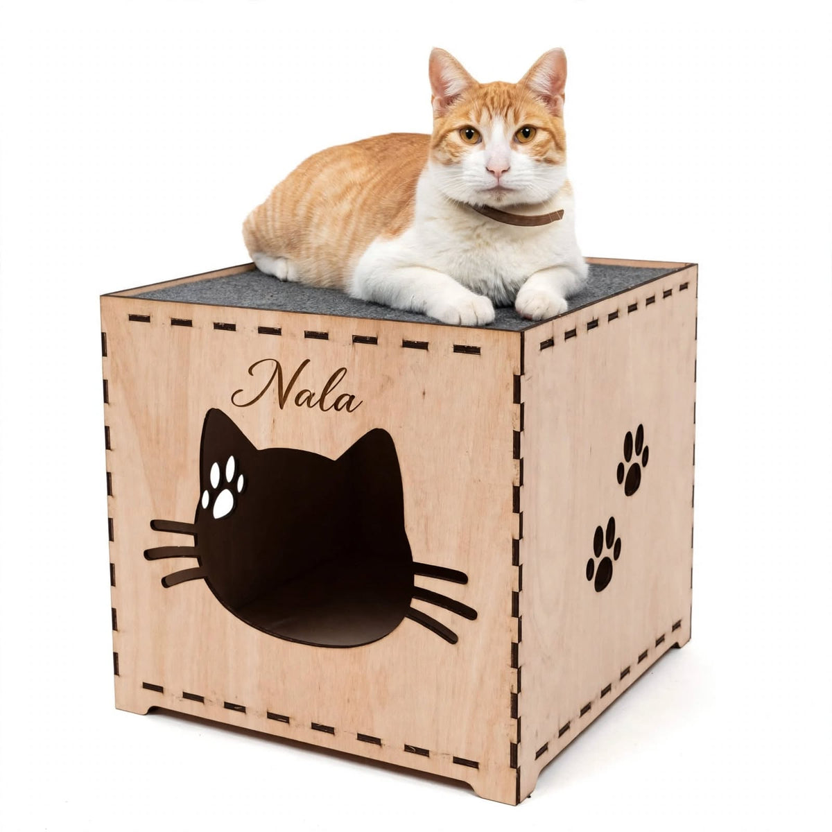 Casa para Gatos Personalizada con Rascador – 40 × 40 cm