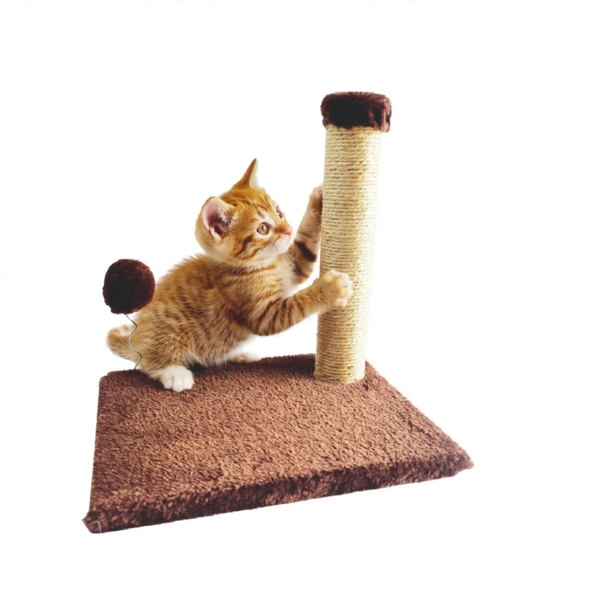 Rascador Pequeño para Gatos con Poste de Sisal y Juguete Pompón - Base Alfombrada